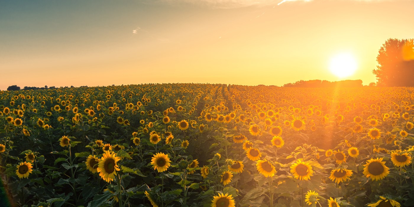 Psychotherapy and Counselling Services Sydney